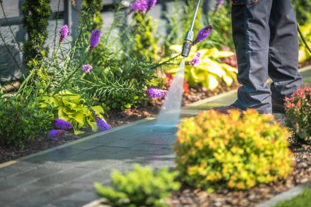 Best Pre-Holiday Cleaning  in Coopersville, MI