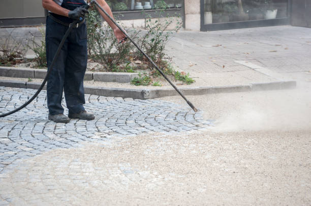 Best Sidewalk and Walkway Cleaning  in Coopersville, MI