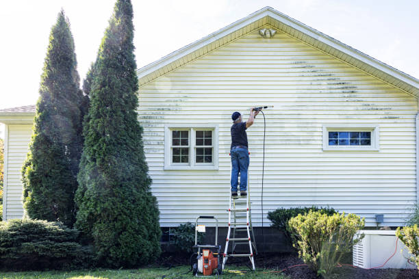 Best House Exterior Washing  in Coopersville, MI